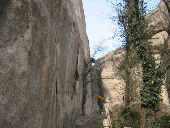 ��ꖹ��E�z��