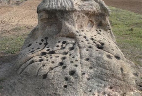 �v�R���У����o(h��)�ϹŎr���z�E �����Ļ���������Ƭ