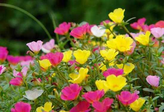 ���������� �G���@������̫ꖻ���