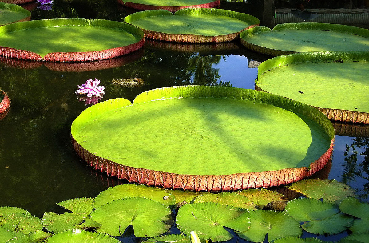 ���Gɽ���@��ɏ�_���� ��ȥ���ư�