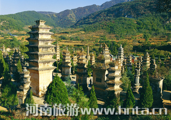 ������� ���κ���