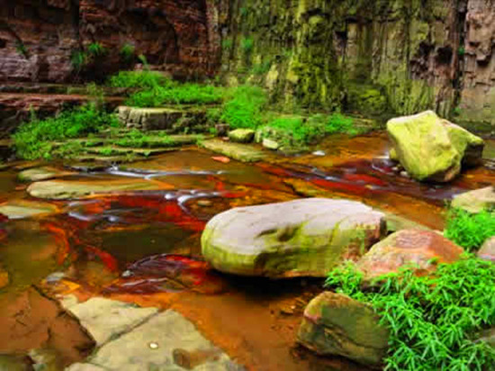 �����c��?zh��)��{��(l��i)һ��(ch��ng)&ldquo;��(y��u)��&rdquo;