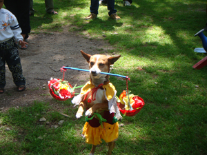 ���������^(q��)����������һ��Ěg������