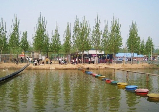 �����(l��i)�R ���x������߅�؅^(q��)������ε�