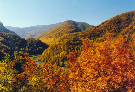 ���Ͻ����ɽ�p�t�~ 9�¸��ؼt�~�_ʼ׃ɫ