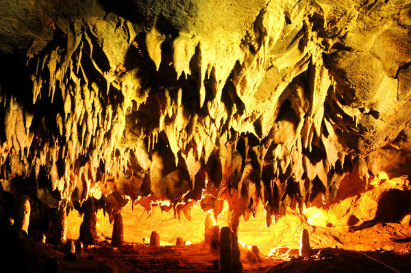 �S�����{ ������x