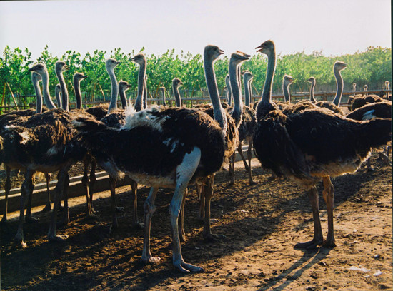 ӭ���������c �r�B�@���N��ӵ����