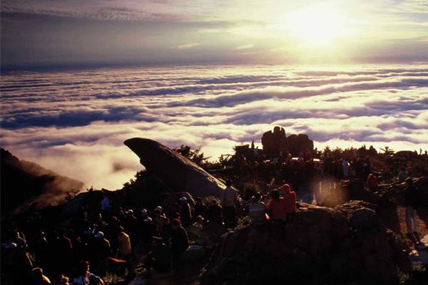 ������cȥ���� 2013��������(n��i)�������]����