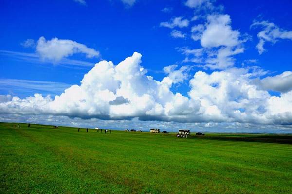 ������cȥ���� 2013��������(n��i)�������]����