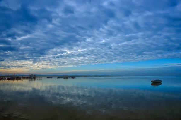 ������cȥ���� 2013��������(n��i)�������]����