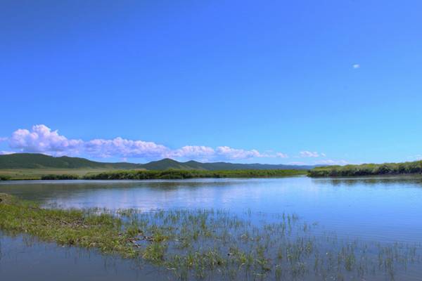 ������cȥ���� 2013��������(n��i)�������]����