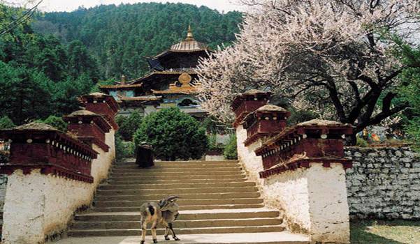 ������cȥ���� 2013����(n��i)�����������]����