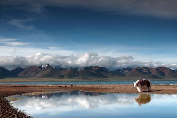 ������cȥ���� 2013����(n��i)�����������]����