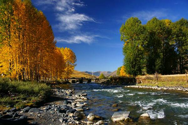 ������cȥ���� 2013����(n��i)�����������]����