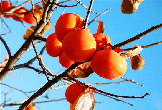 ӭ�p��(ji��)�p�t�~ժ���� ��σ�(y��u)��������