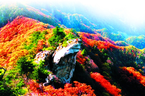 �����p�������IТ�� ��ĸ���M�Έ�ɽ