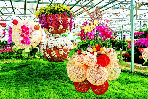 �G���@�����Ļ���(ji��)���Ć�Ļ