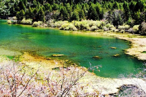 ������c�����˳� ����(n��i)&ldquo;���T&rdquo;�������c(di��n)���]