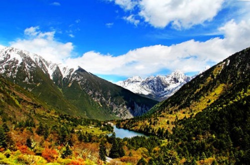 ������c�����˳� ����(n��i)&ldquo;���T&rdquo;�������c(di��n)���]