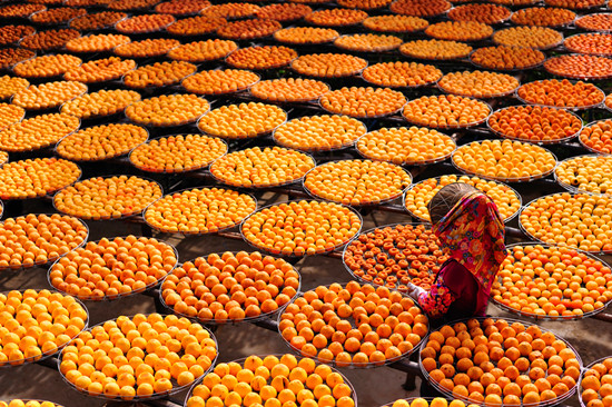 �����ժ�� ������֦�^�������ɔX