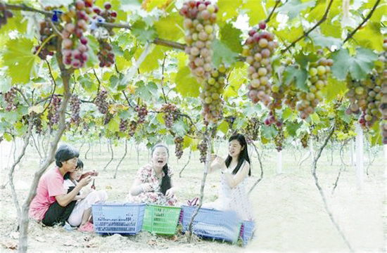 �v�R���У�������ĩ��ȥ̎  �̾G���ш@ժ����