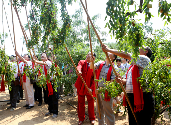 2013���A���l(xi��ng)�L(f��ng)����ʢ���_Ļ 