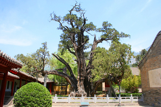 �����L�������� ��ԭ������(d��)�I(l��ng)�L(f��ng)�}