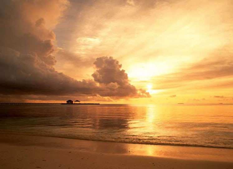 ��(gu��)�c���α؂䌚�������ΰ�ȫ����ָ��