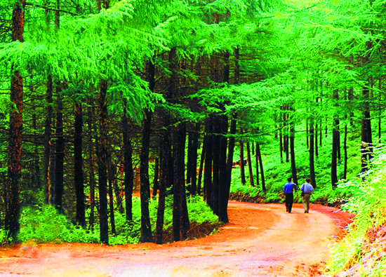 ���c���� �����e�^����ɫ����