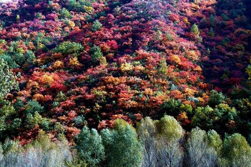 ԥ����{���׌����{&ldquo;�����^�ٹ�(ji��)&rdquo;ʮһ�����_Ļ