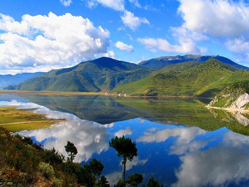 ��(gu��)�c׌�҂�һ����l(f��)�� ��(gu��)��(n��i)7�l����^�⾀·