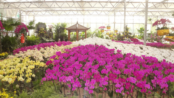 �G���@���G�����m ǧ���f�B(t��i)���ː�