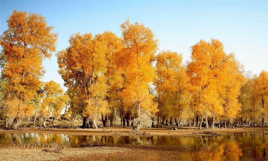 2013ʮһ���c���� ����(n��i)10��(g��)�Ĳ�׌��ʧ���ĺõط�