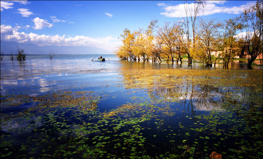 2013ʮһ���c���� ����(n��i)10���Ĳ�׌��ʧ���ĺõط�