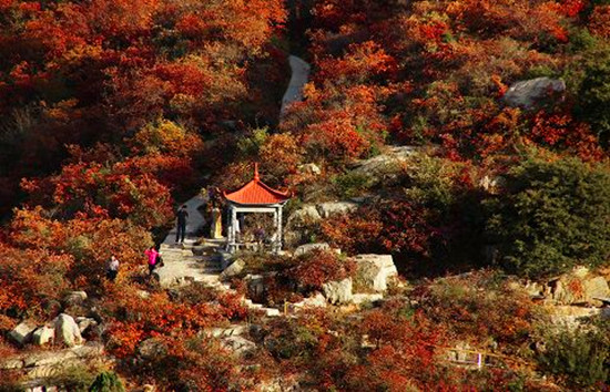 ӭ&ldquo;ʮһ&rdquo;�S���ܡ����ݾ��^(q��)���ʼ��ʃ�(y��u)�ݶ�