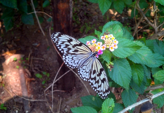 ������-�����u��(gu��)�c���׼����A�����_(k��i)Ļ