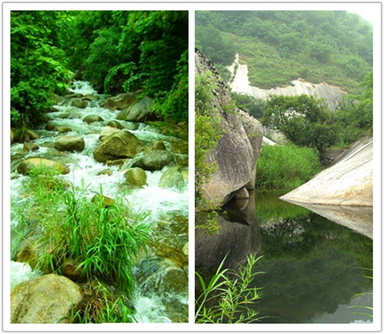 ���ϵ��|(zh��)���@Top10 ����С���˿̼����l(f��)