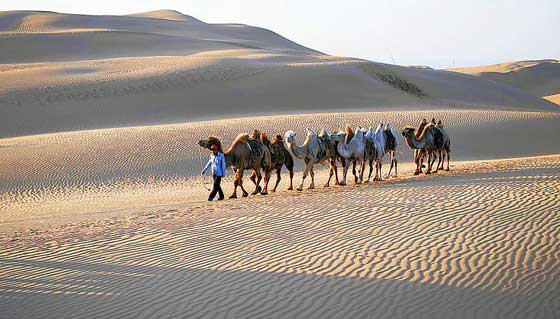 ���ݽ�����ģʽ ʮһ��ɳĮ���Ҙ���