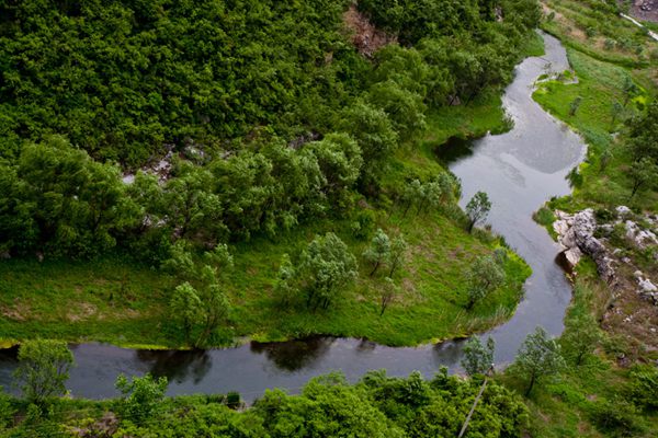 �������� �����ɫ�č{�����]