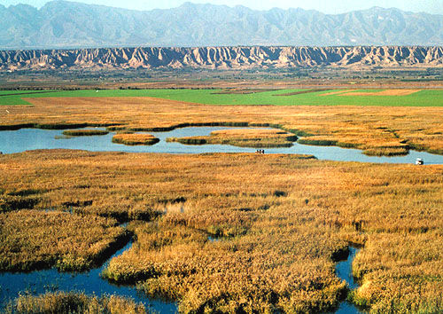 ��ĩ���p�� ���`���������ȼٰ�