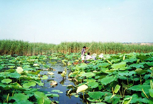 ��ĩ���p�� ���`���������ȼٰ�