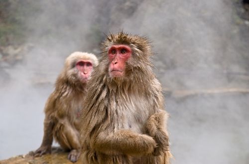 ���伾��(ji��)��Ů��� ���M(j��n)����ʮ�󶬼����΄ٵ�