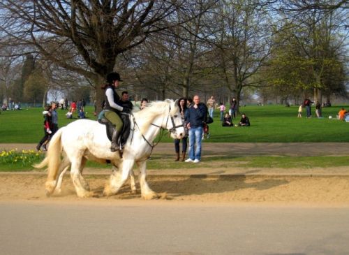 �R��С�R���c(di��n)æ ��(x��)����Щ&ldquo;�R����&rdquo;���L(f��ng)��