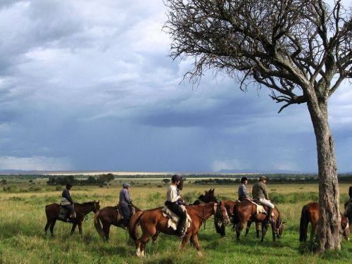 �R��С�R���cæ ������Щ&ldquo;�R����&rdquo;���L��