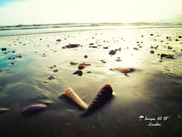 �����������ι��� �p�����昷�_��