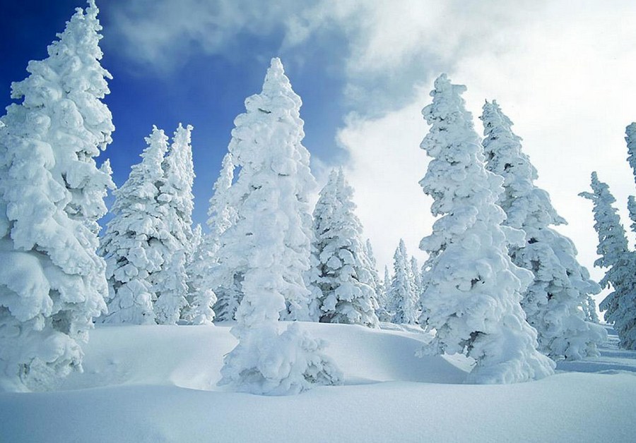 ����&ldquo;��&rdquo;�� ����(n��i)��ɽѩ���P�c