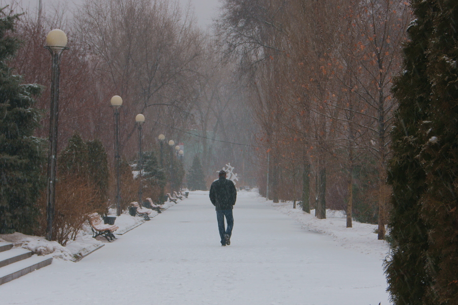 ���ο���� δ��(l��i)��������M(j��n)����ѩģʽ