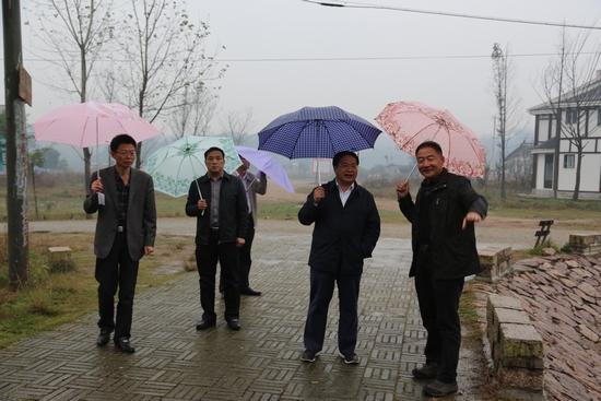 駐馬店市領(lǐng)導(dǎo)赴信陽(yáng)郝堂村考察鄉(xiāng)村旅游建設(shè)