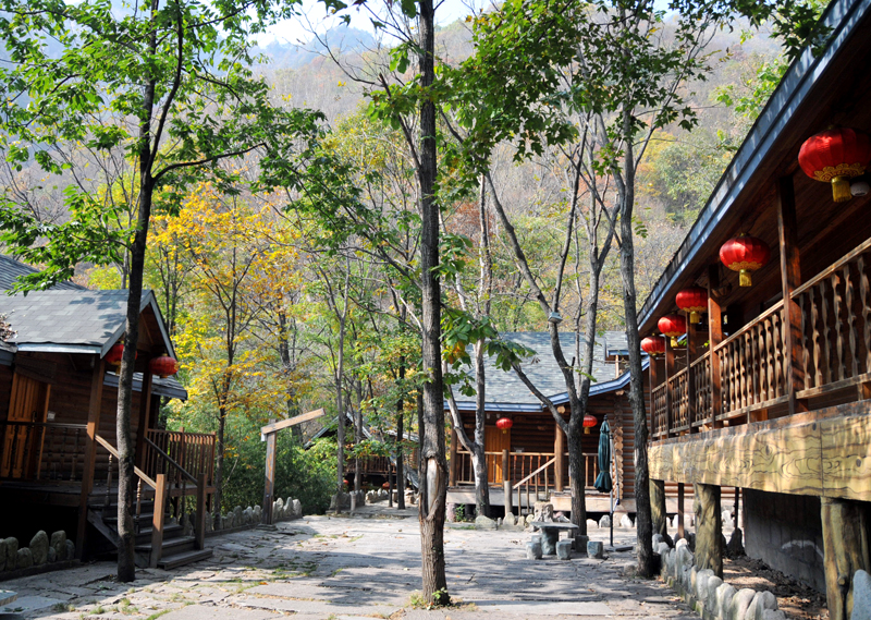 ��ʡ���{��ţɽ�Ͻ�X&bull;�����zַ�@���΅^(q��)�s�ߣ�����(j��)