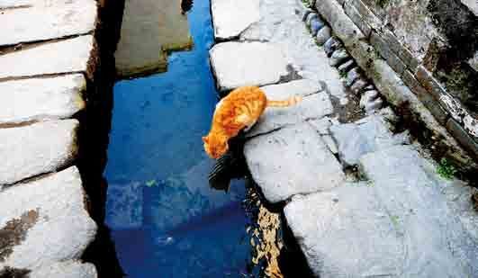 ꖴ����¸����� ��һ�����ļs��